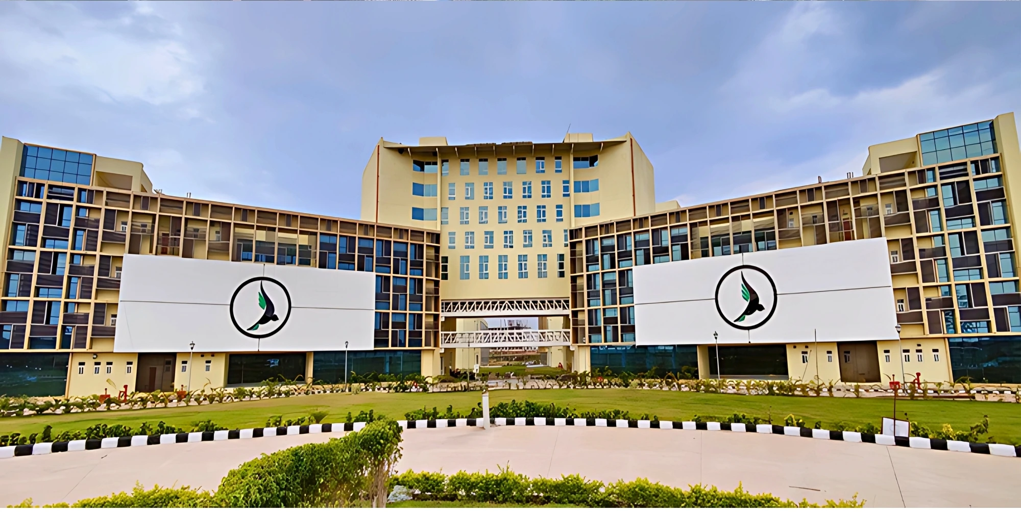 Creative Group Project